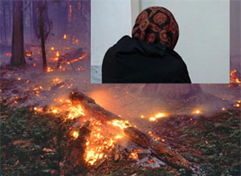 حاشیه های ادامه دار جنگل گلستان / خانم م . ج از گلستان خارج شد