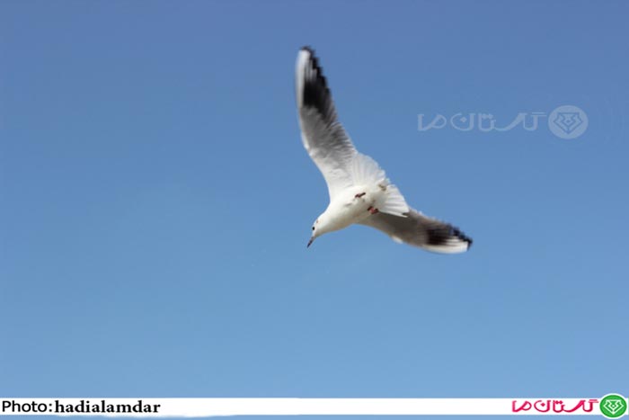 sahel01 2