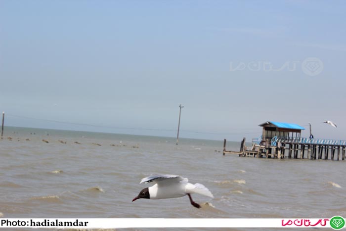 sahel01 2