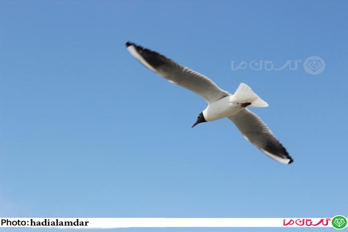 sahel01 2
