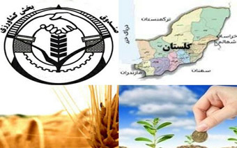  دورهمی فامیلی یا اجرای مر قانون