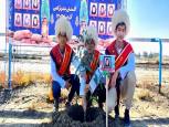 گلستان ما - غرس نهال به یاد ۳۸ شهیده اهل‌سنت متعلق به گلستان